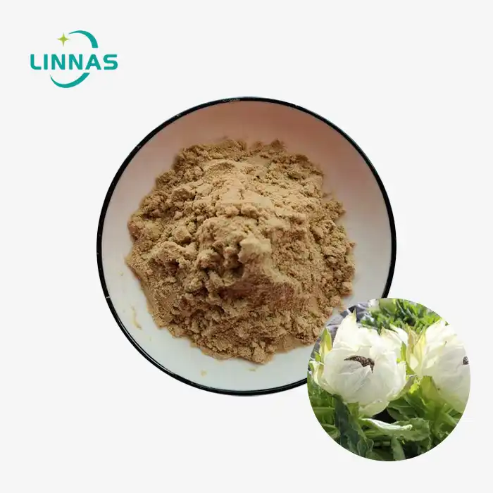 Snow Lotus Extract Powder